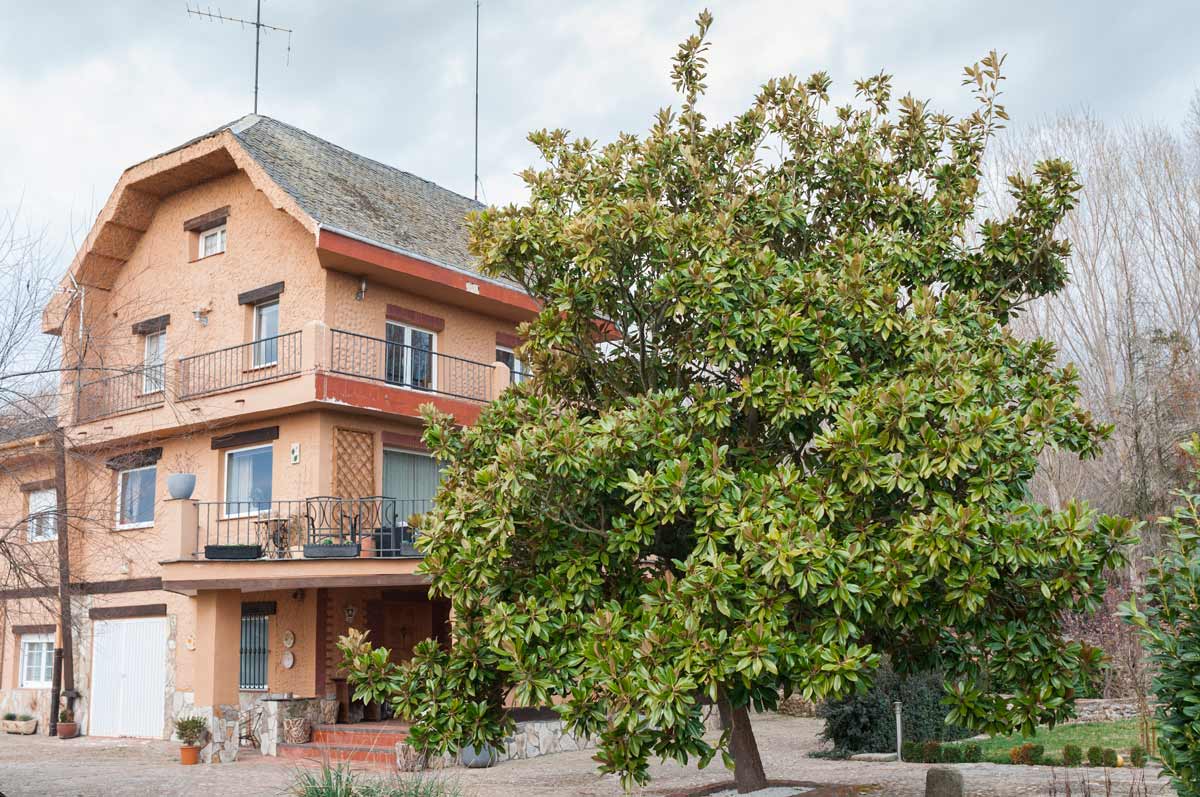 Exterior Casa Rural Molino de Villacelama